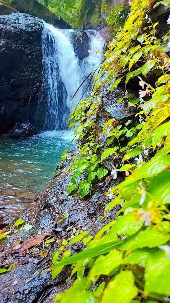 Sahaydri Hill View Agro Tourism - Farm Resort Ghatghar Екстер'єр фото